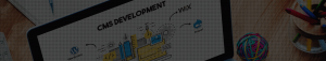 Ingenious Netsoft: cms_bg