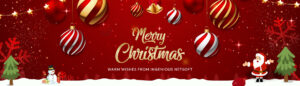 ingenious_christmas_banner_web